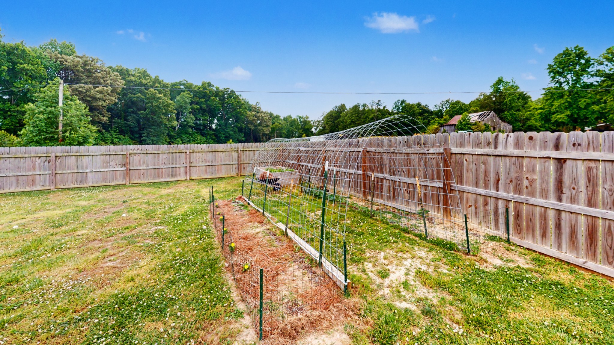 601 King Ridge Road Dowelltown, TN 37059 - Photo 43 of 49 a view of yard with swimming pool and trees in the background