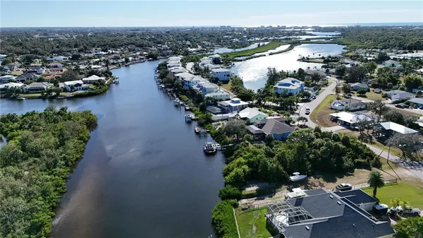an aerial view of city and lake with trees all around