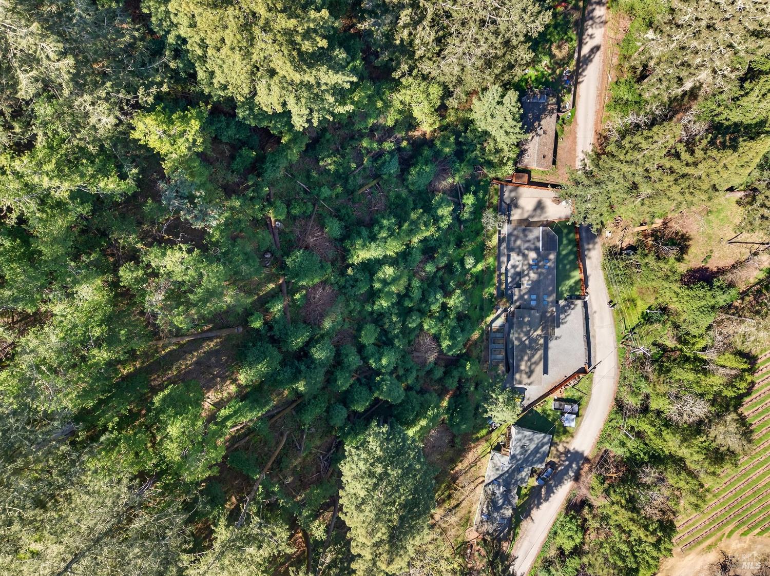 11207 Vellutini Road Forestville, CA 95436 - Photo 41 of 41