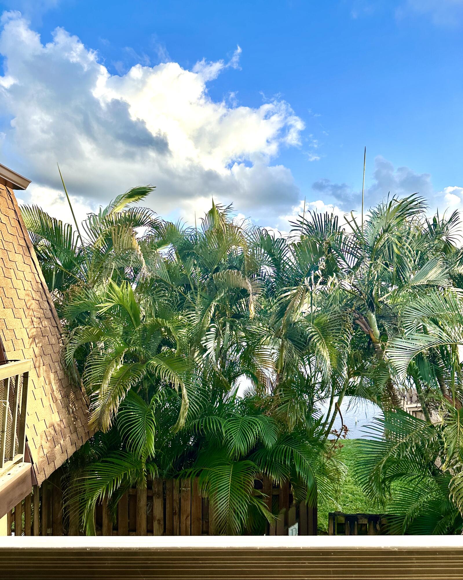 110 North Delaware Boulevard, Unit 11D Jupiter, FL 33458 - Photo 26 of 29 72320743-FE8E-4427-8380-6206DA91E360