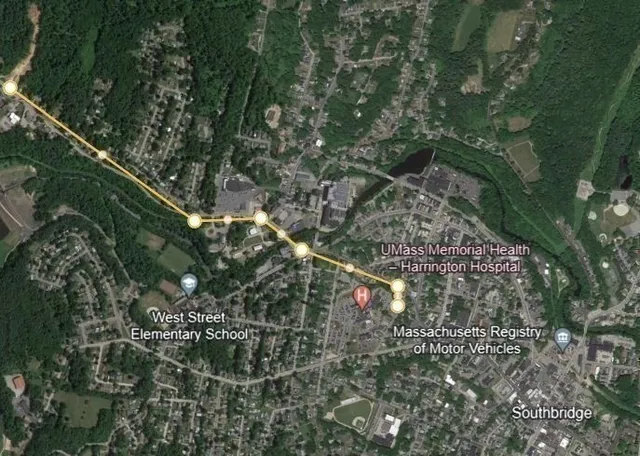 a view of a park with trees