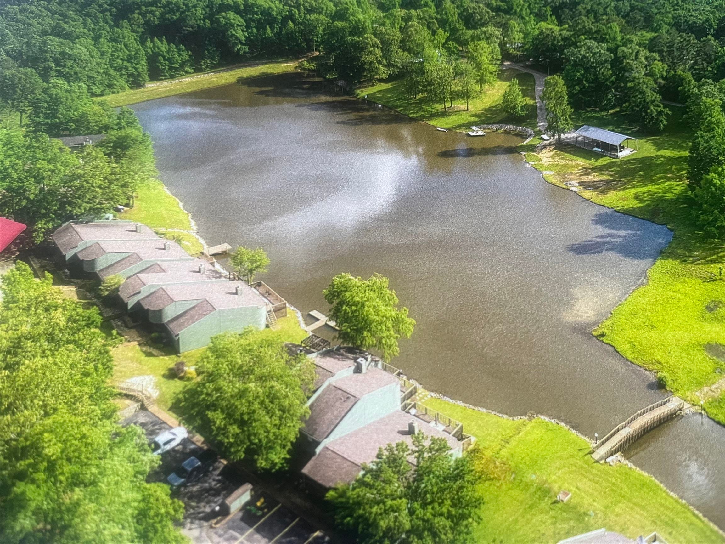 98 Driftwood Road, Unit 94 Counce, TN 38326 - Photo 15 of 18 Bird's eye view