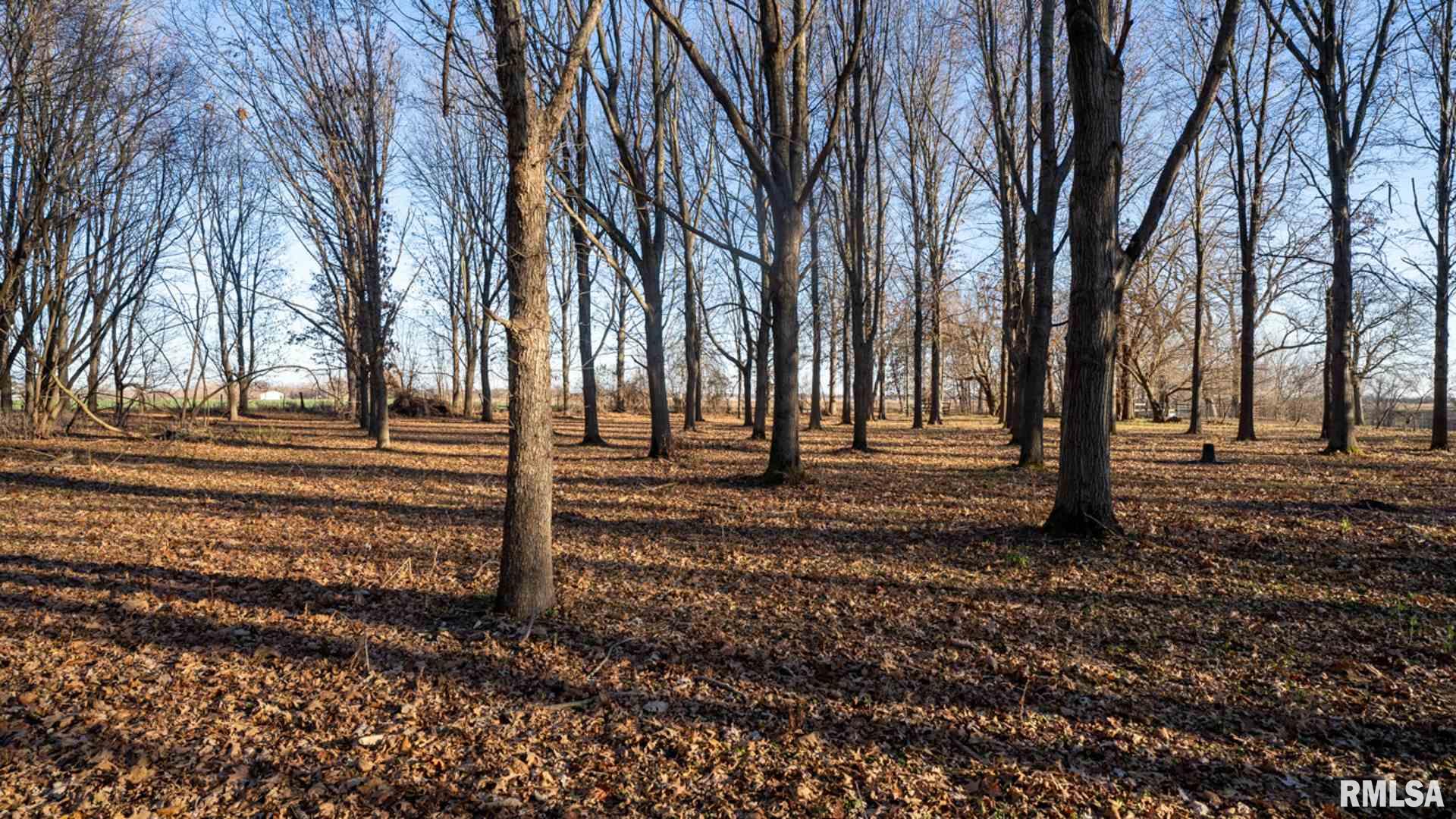 31298 Lynn Road Oakford, IL 62673 - Photo 50 of 50