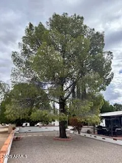 a car parked on the side of a street