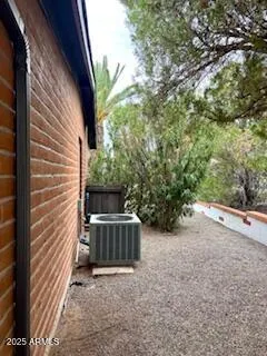a view of a backyard with plants and large trees