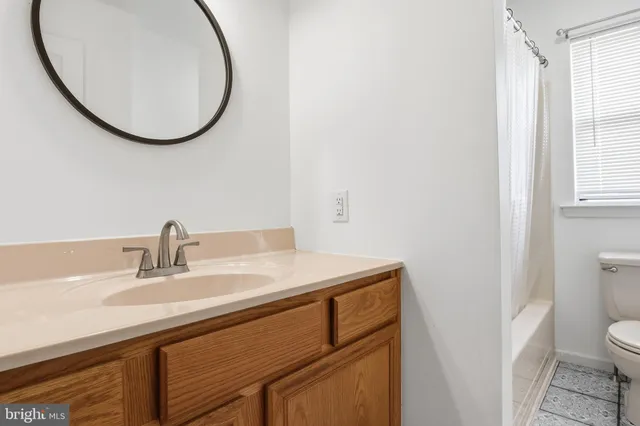 a bathroom with a sink a toilet and a mirror