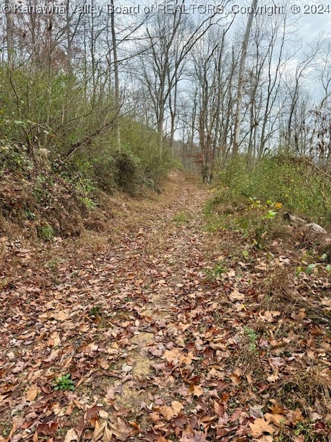 55 Stowers Road Griffithsville, WV 25521 - Photo 10 of 19 Gallery Image 10