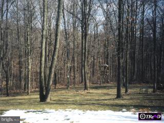 1076 Spencer Road Downingtown, PA 19335 - Photo 6 of 6 Gallery Image 6