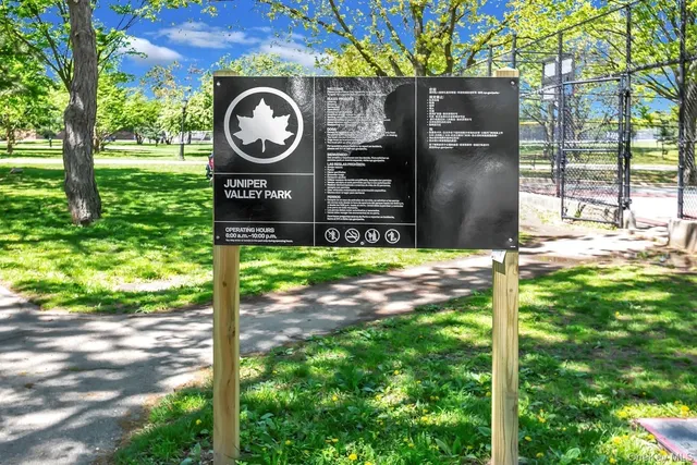 a view of a park with a tree