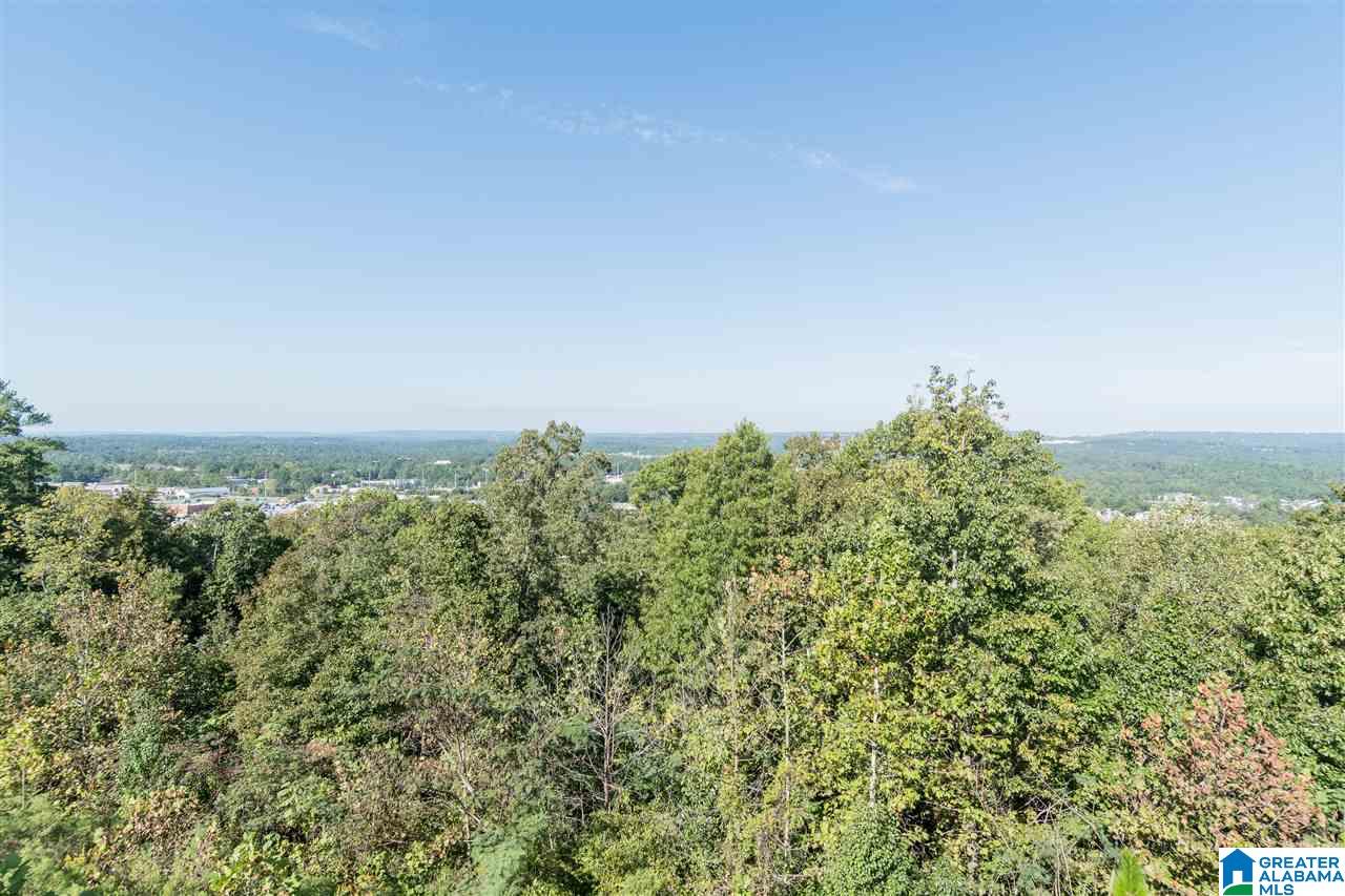 4064 Eagle Ridge Court Birmingham, AL 35242 - Photo 26 of 27