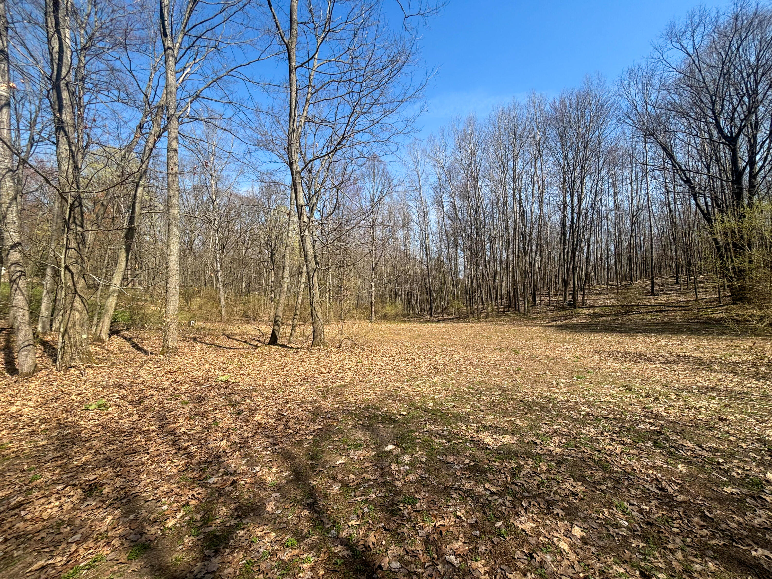 7415 East Anthony Road Branch, MI 49402 - Photo 89 of 99 IMG_2545