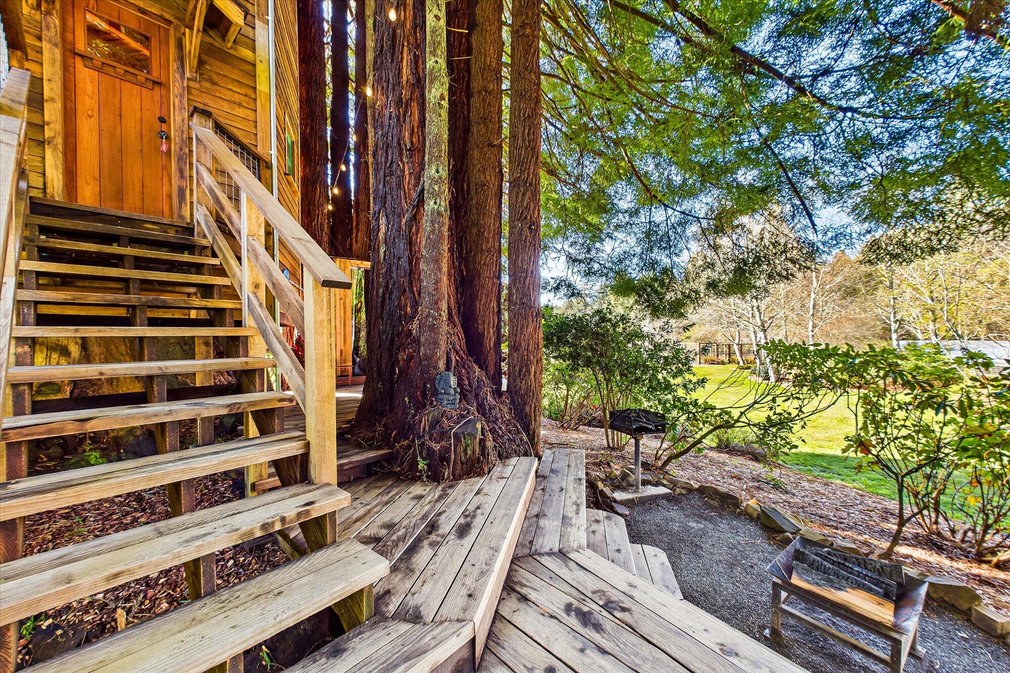 174 Fox Farm Road Trinidad, CA 95570 - Photo 161 of 200 Gallery Image 161
