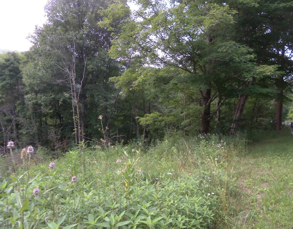 0 Ingleside Road Bluefield, WV 24701 - Photo 1 of 1 Gallery Image 1