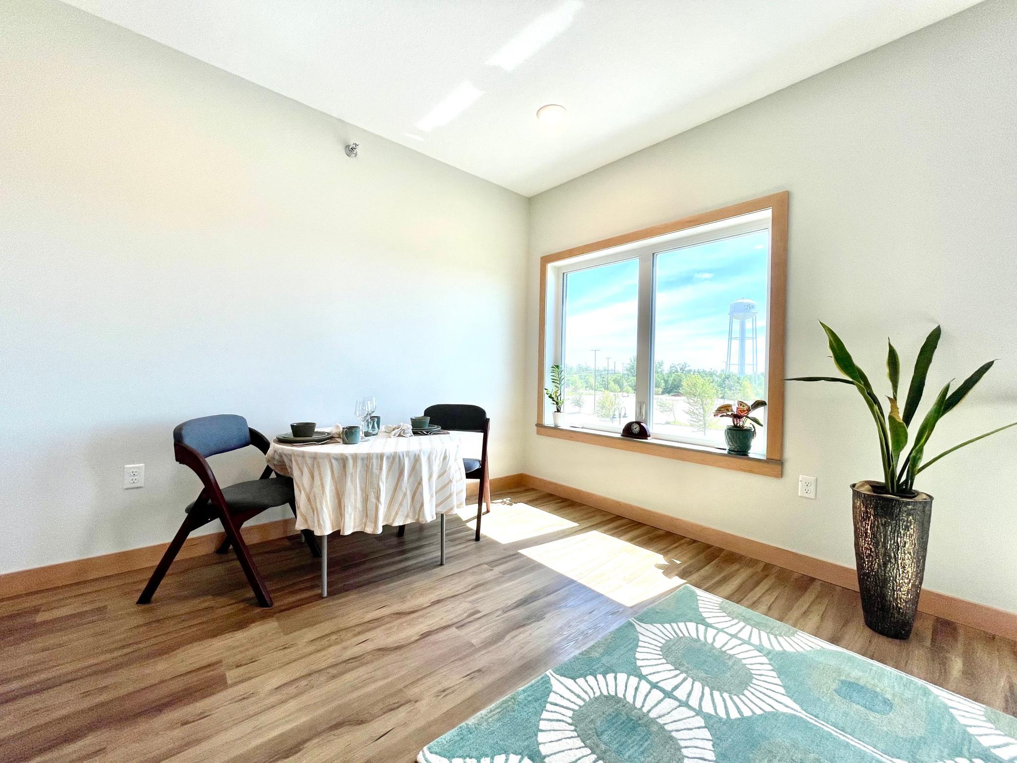 715 Lake Shore Drive Northeast, Unit 201 Bemidji, MN 56601 - Photo 3 of 34