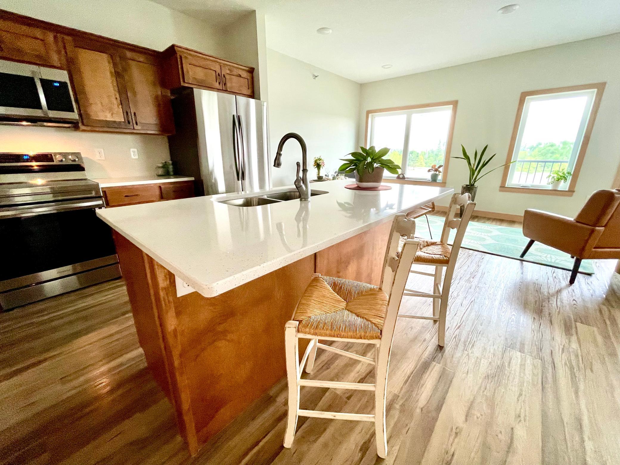 715 Lake Shore Drive Northeast, Unit 201 Bemidji, MN 56601 - Photo 9 of 34