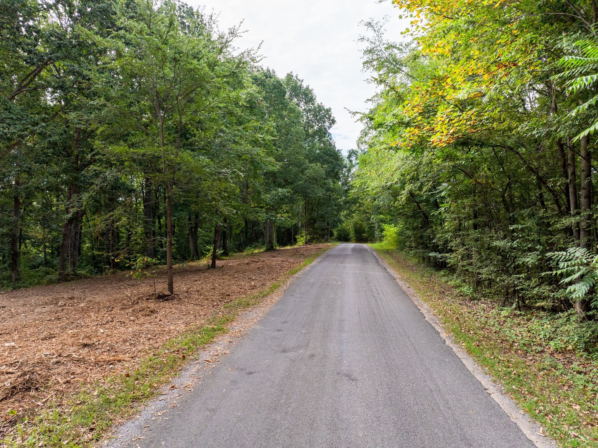 0 Apache Trail Pegram, TN 37143 - Photo 2 of 10 a view of a road with trees in the background