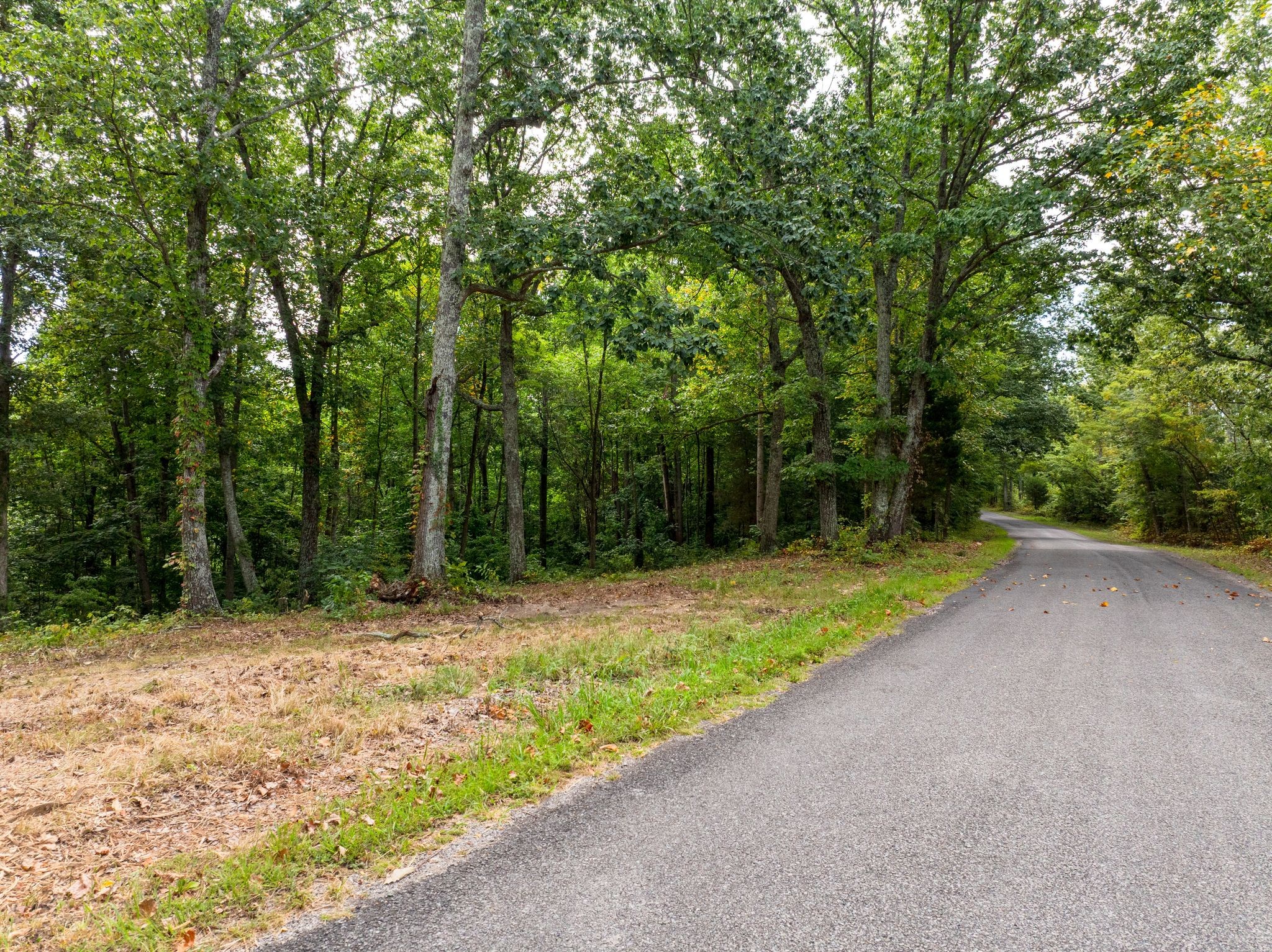 0 Apache Trail Pegram, TN 37143 - Photo 4 of 10 a view of a yard with a trees