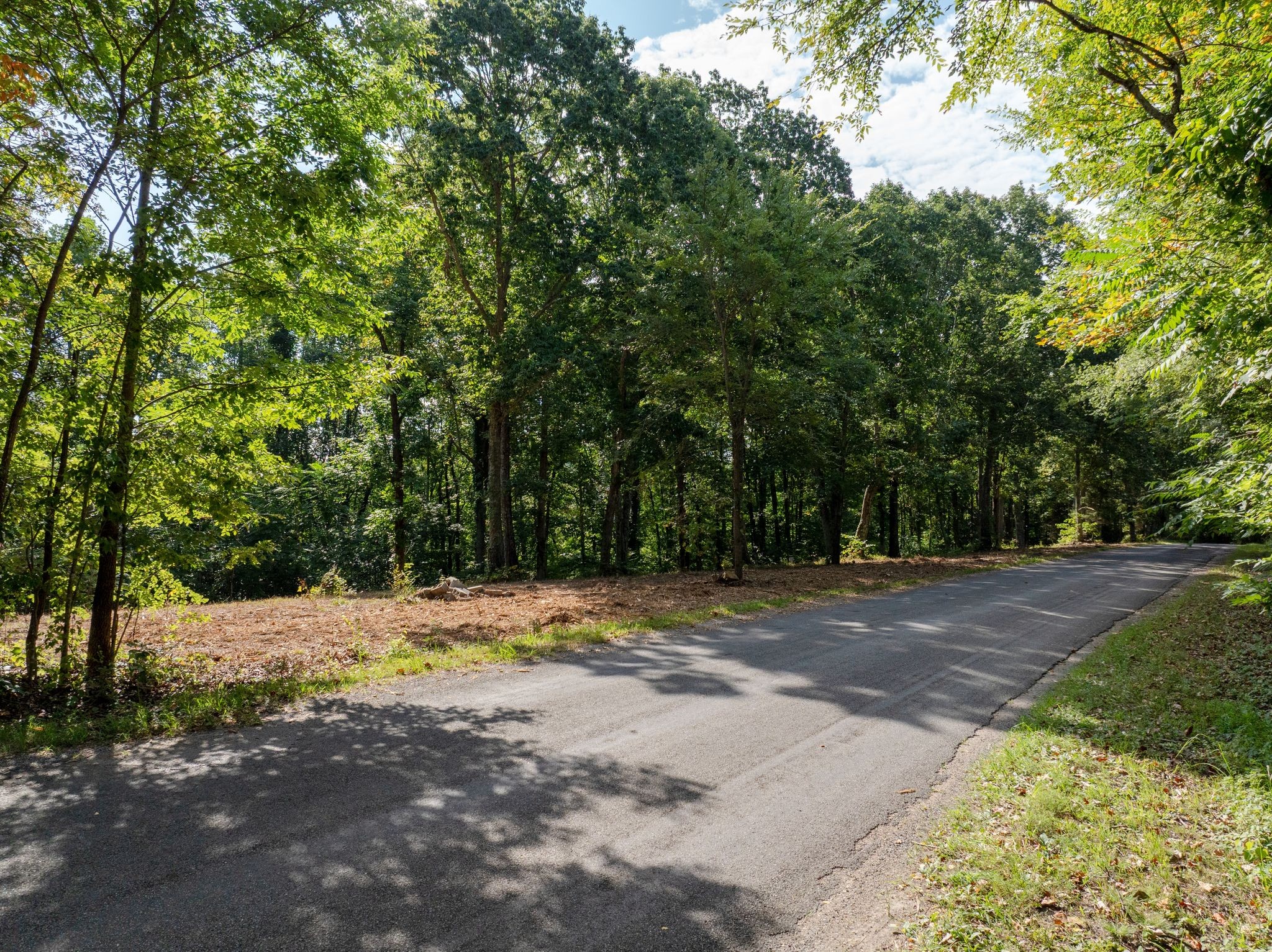 0 Apache Trail Pegram, TN 37143 - Photo 6 of 10 a view of a yard with trees