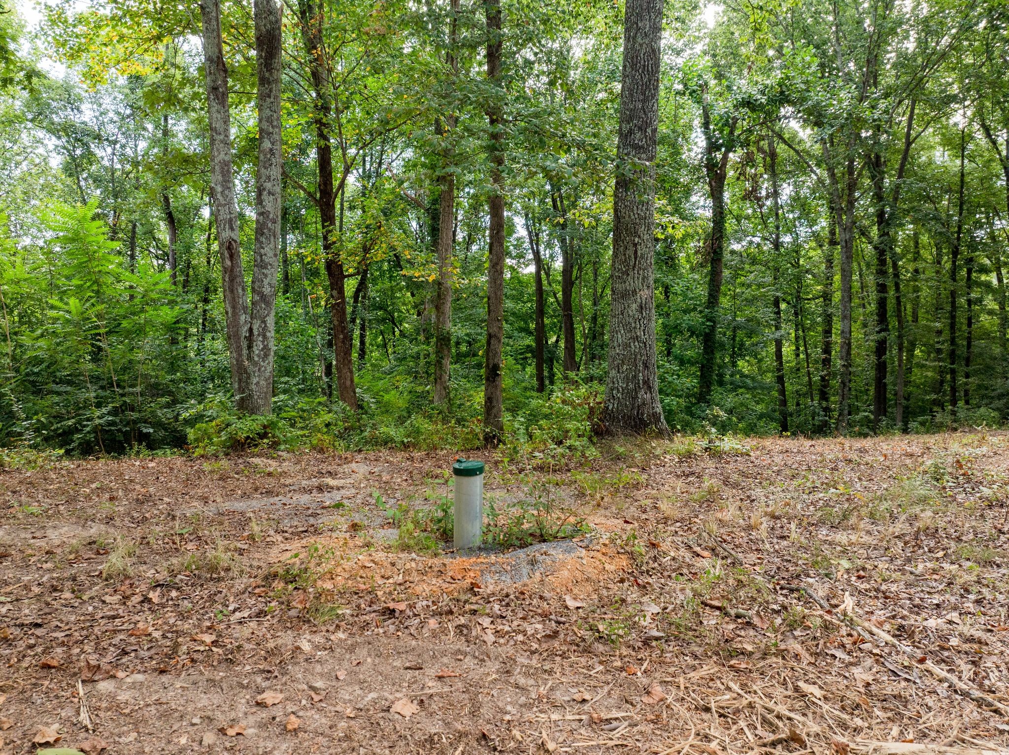 0 Apache Trail Pegram, TN 37143 - Photo 7 of 10 a backyard of a house with lots of green space