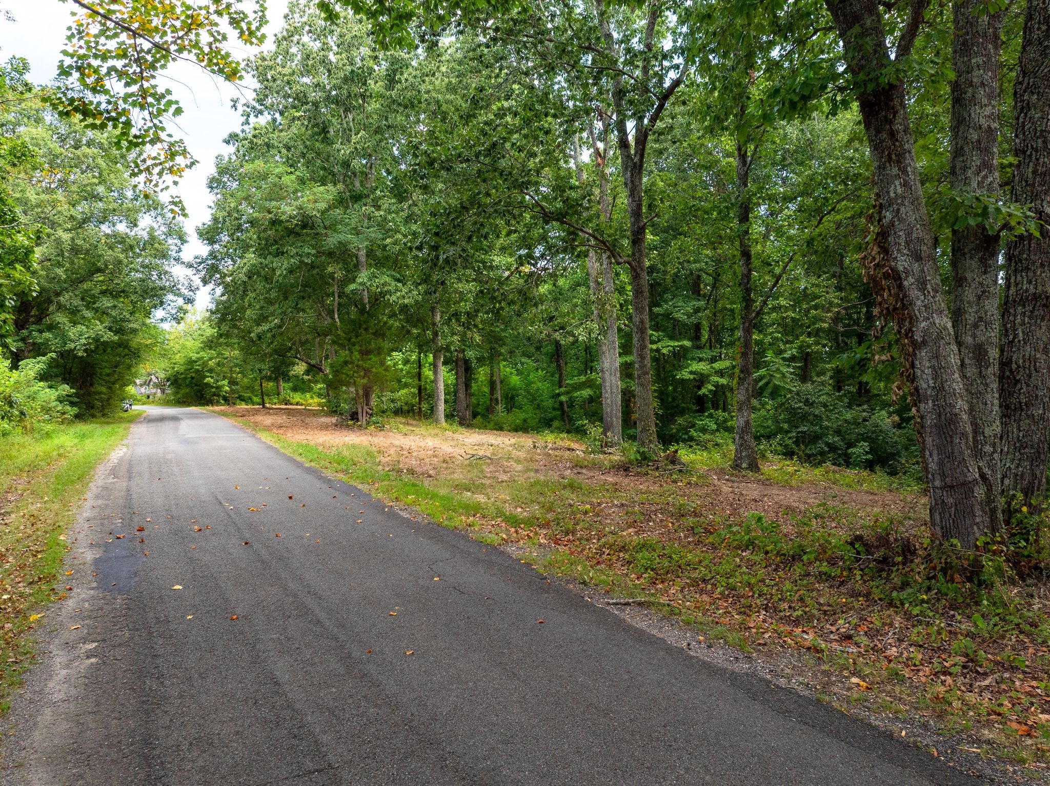 0 Apache Trail Pegram, TN 37143 - Photo 8 of 10 a view of a yard with large trees