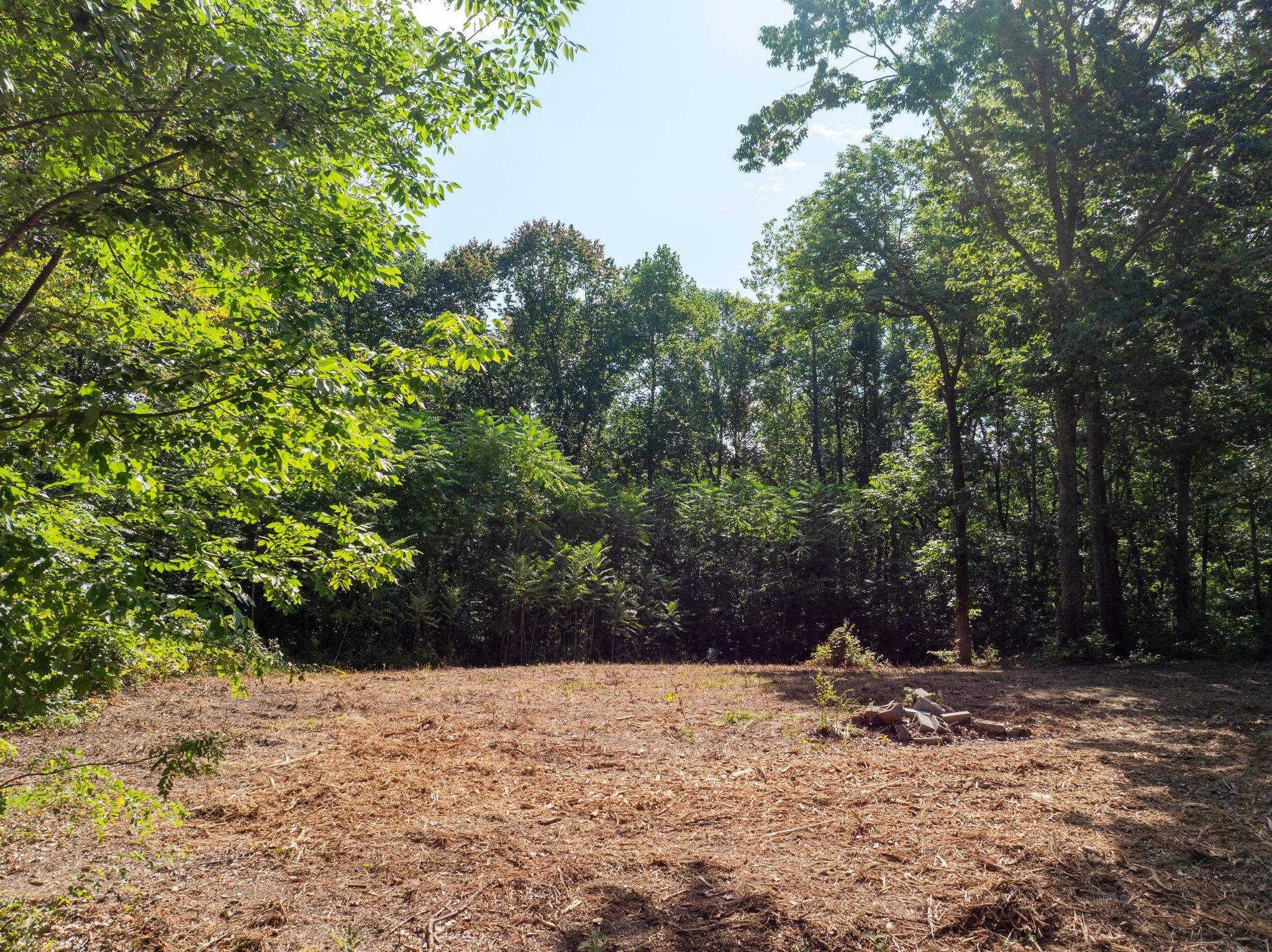 0 Apache Trail Pegram, TN 37143 - Photo 9 of 10 a view of a dry yard with trees