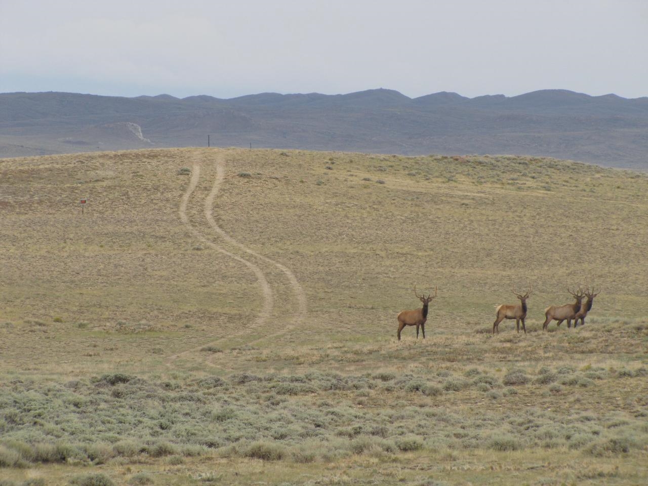 Shamrock Road Rawlins, WY 82301 - Photo 1 of 30