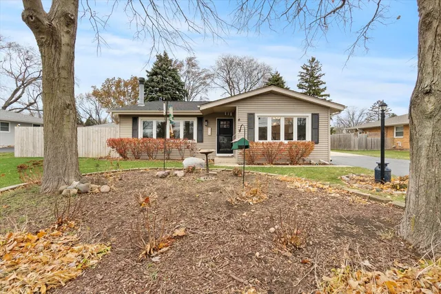 a view of a house with a yard and large tree