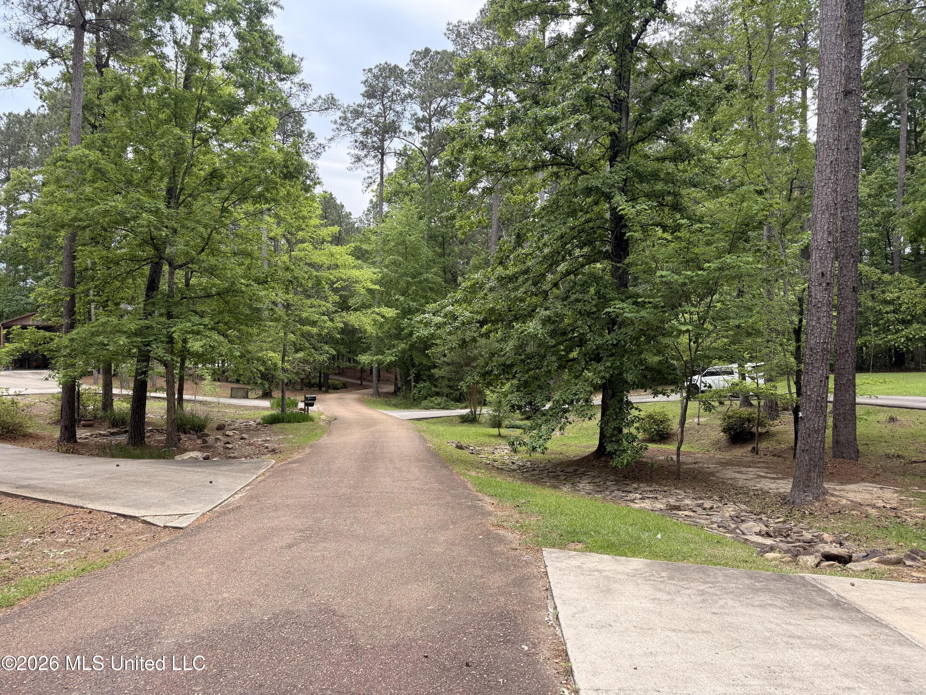 93 Timber Ridge Lane Southeast Meadville, MS 39653 - Photo 40 of 46 IMG_9292