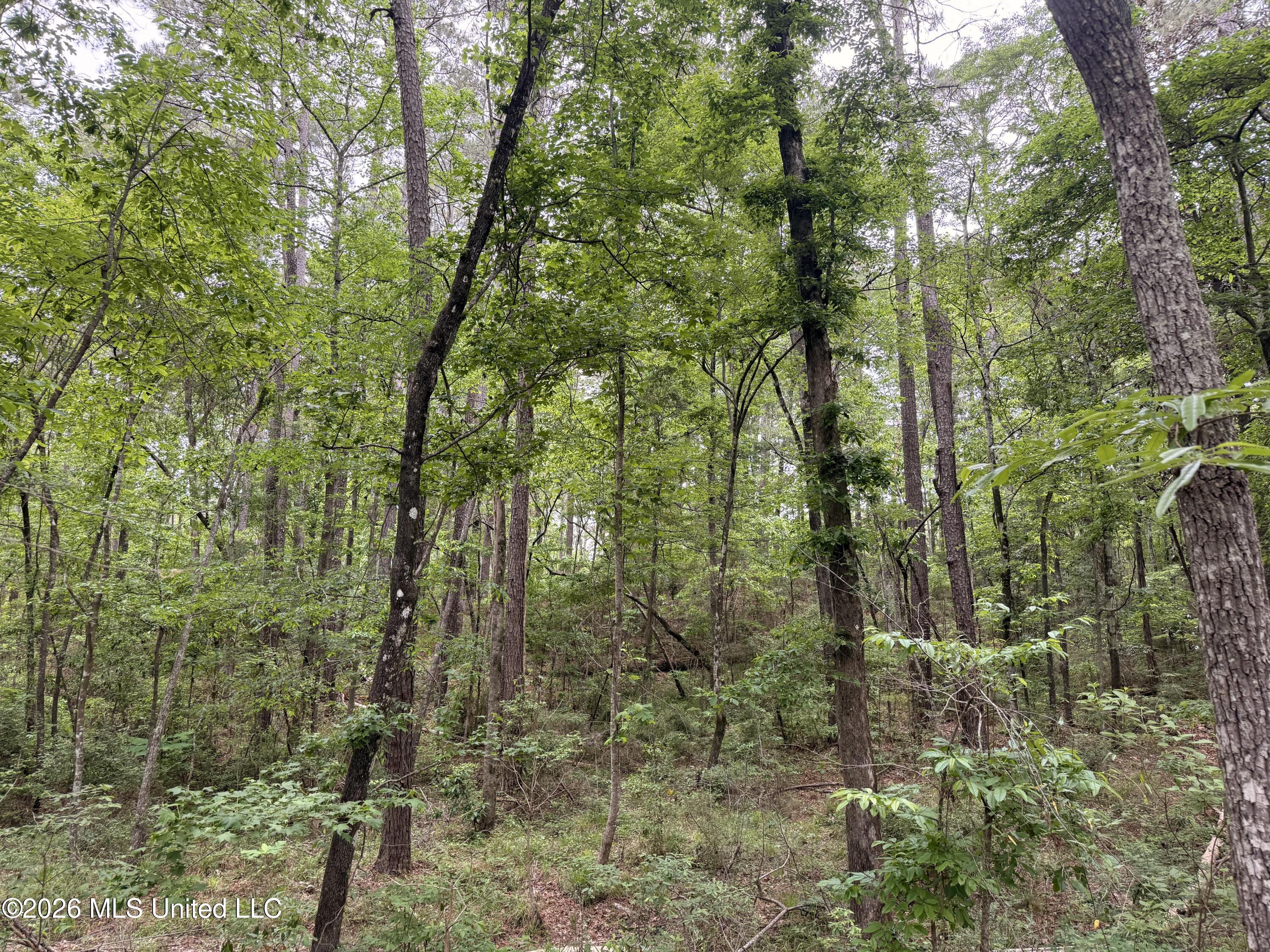 93 Timber Ridge Lane Southeast Meadville, MS 39653 - Photo 41 of 46 IMG_9337