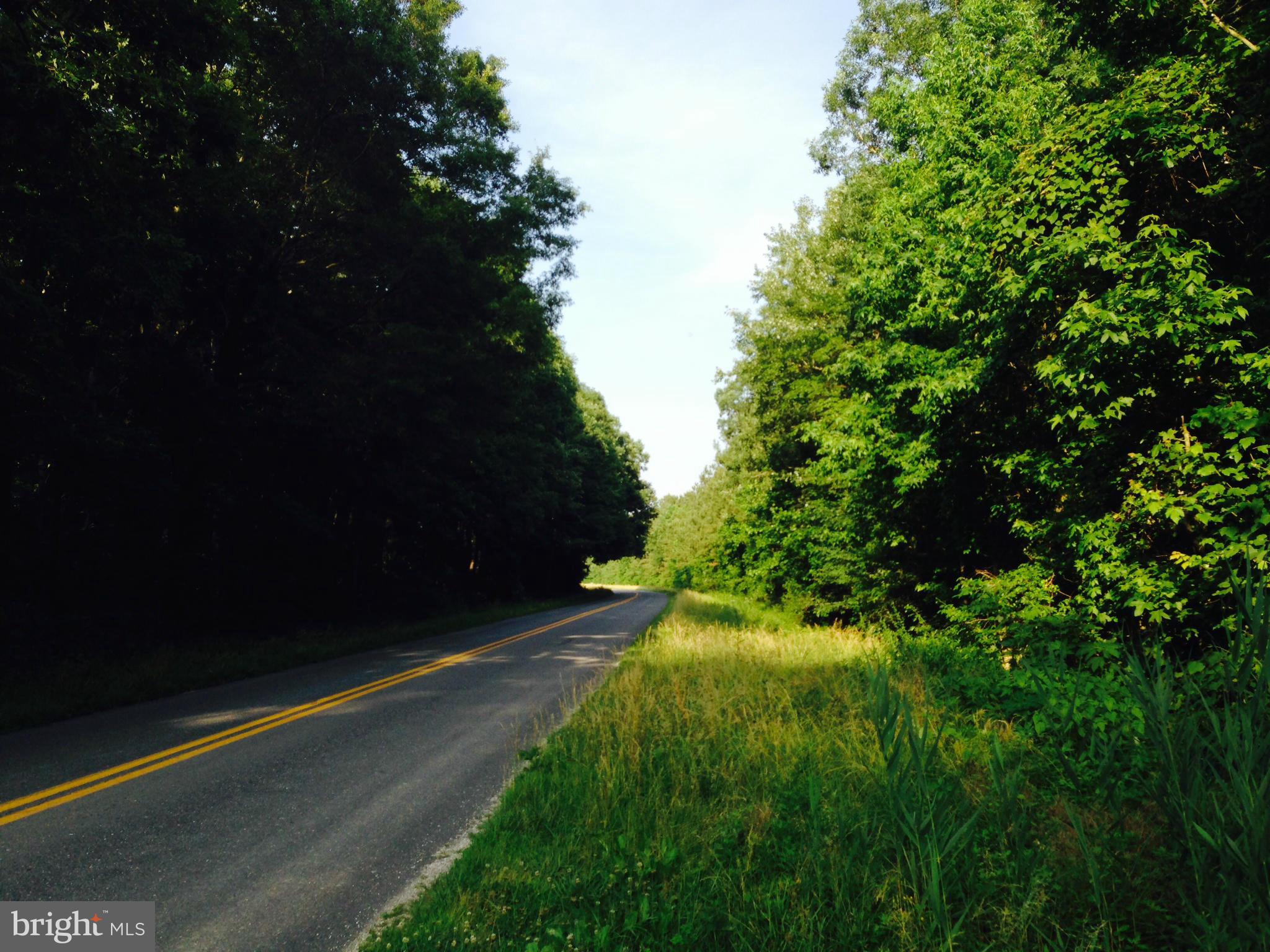 Stone Boundary Road Cambridge, MD 21613 - Photo 12 of 12 View