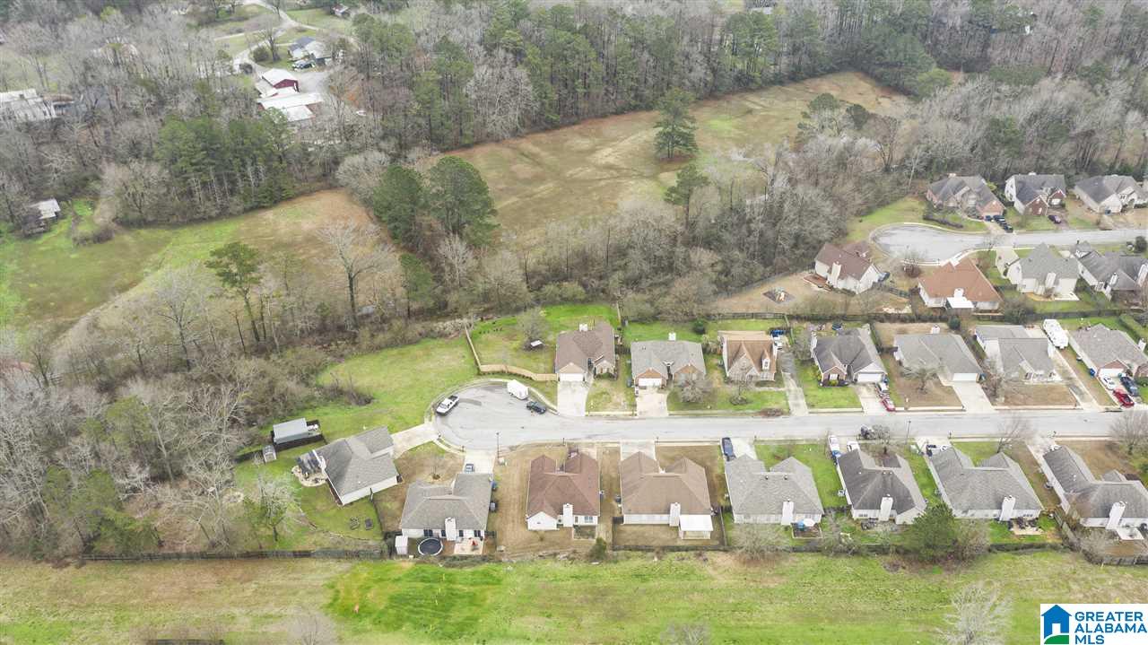 8047 Rockhampton Circle Helena, AL 35080 - Photo 30 of 30