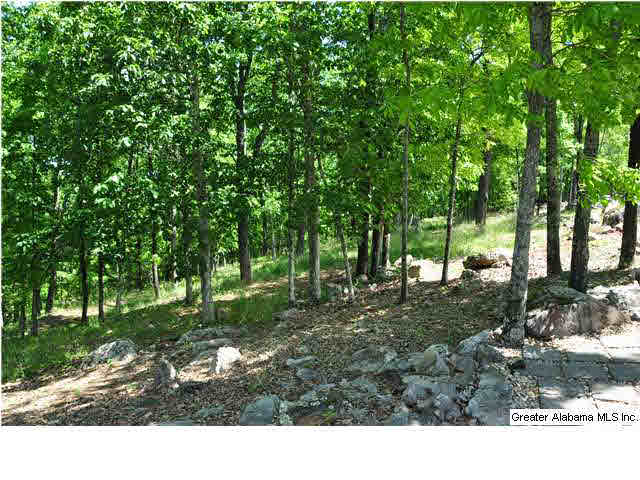 327 Ridgeview Lake Road Alabaster, AL 35007 - Photo 30 of 31