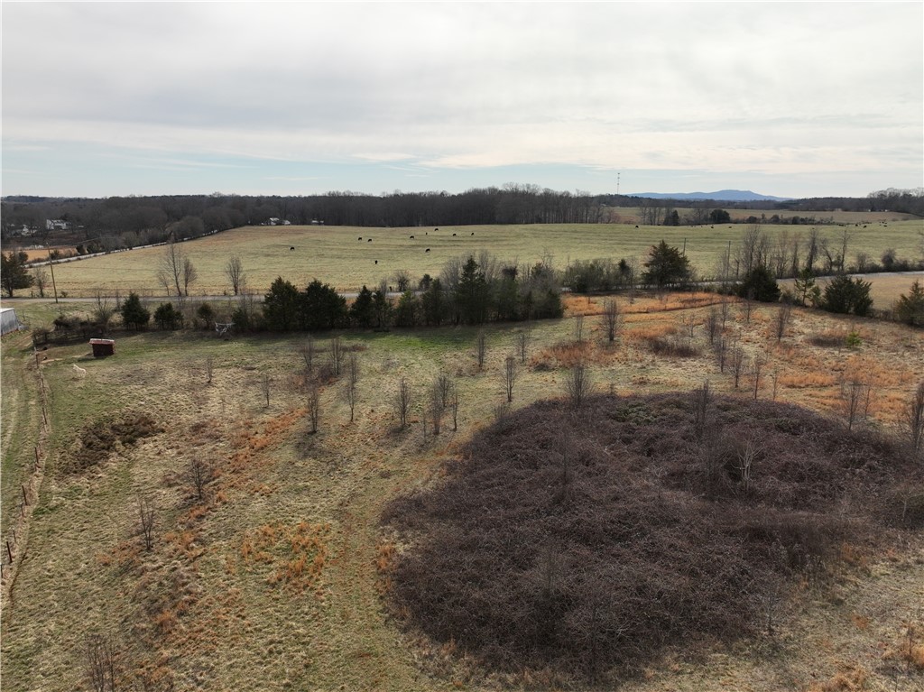 4525 Babb Road Greer, SC 29651 - Photo 13 of 30 Expansive green and brown fields stretch towards a distant tree line under a cloudy sky.