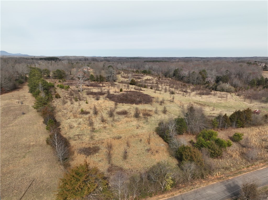 4525 Babb Road Greer, SC 29651 - Photo 15 of 30 This expansive rural property offers a tranquil setting with diverse natural landscape and abundant open space.