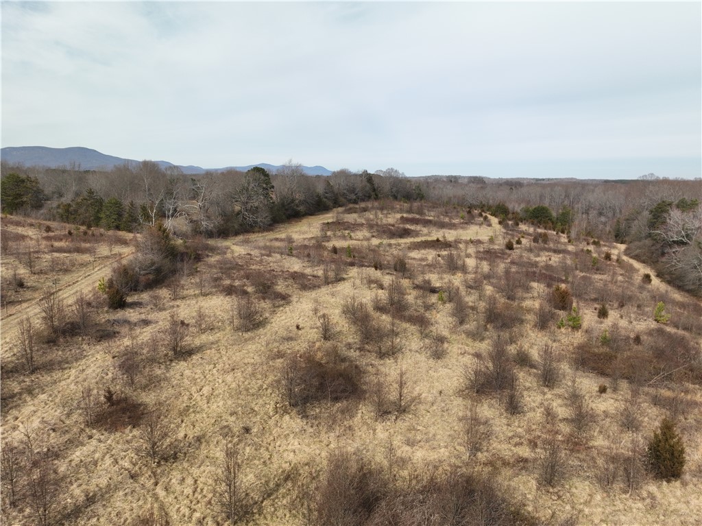 4525 Babb Road Greer, SC 29651 - Photo 17 of 30 Expansive acreage with natural grasses and distant mountains offers scenic, undeveloped potential.