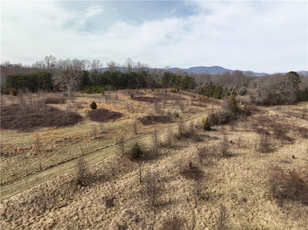 4525 Babb Road Greer, SC 29651 - Photo 18 of 30 Expansive acreage with scenic mountain views and mature tree lines, perfect for serene living.