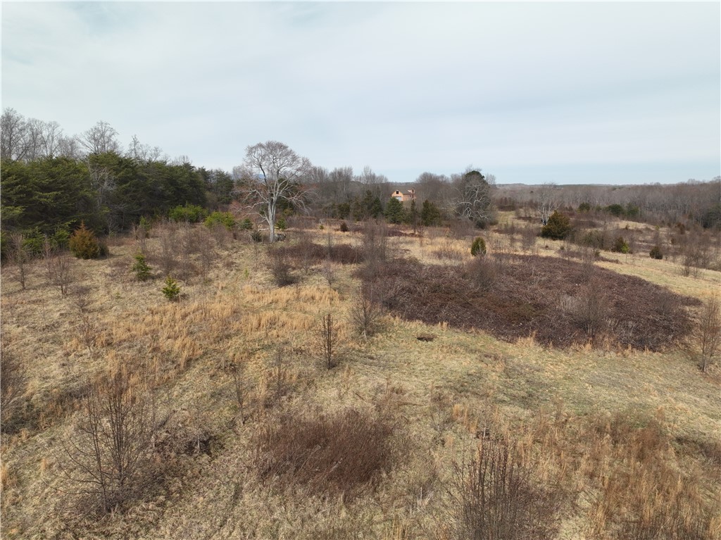 4525 Babb Road Greer, SC 29651 - Photo 19 of 30 This expansive, undeveloped land offers serene rural views, perfect for a custom build.