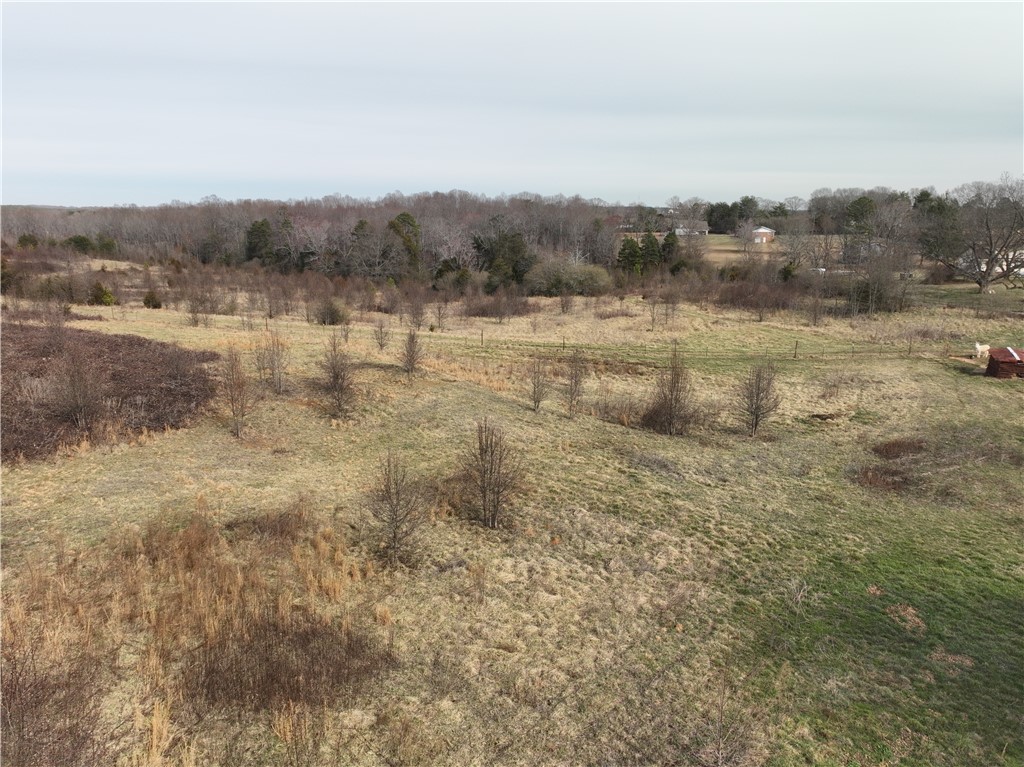 4525 Babb Road Greer, SC 29651 - Photo 20 of 30 Expansive natural landscape with varied terrain and distant treelines under an open sky.