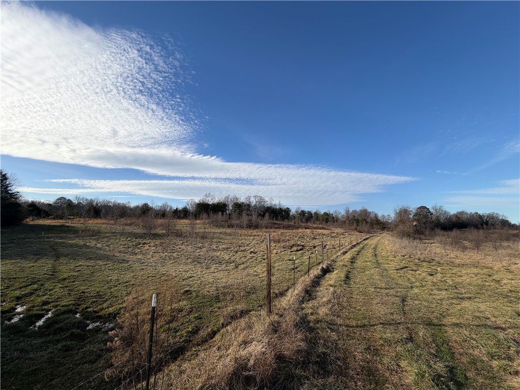 4525 Babb Road Greer, SC 29651 - Photo 23 of 30 This expansive lot offers a tranquil setting with natural surroundings.