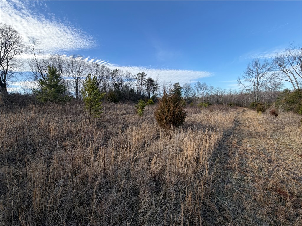 4525 Babb Road Greer, SC 29651 - Photo 26 of 30 Expansive natural landscape with open fields and a clear blue sky awaits new possibilities.
