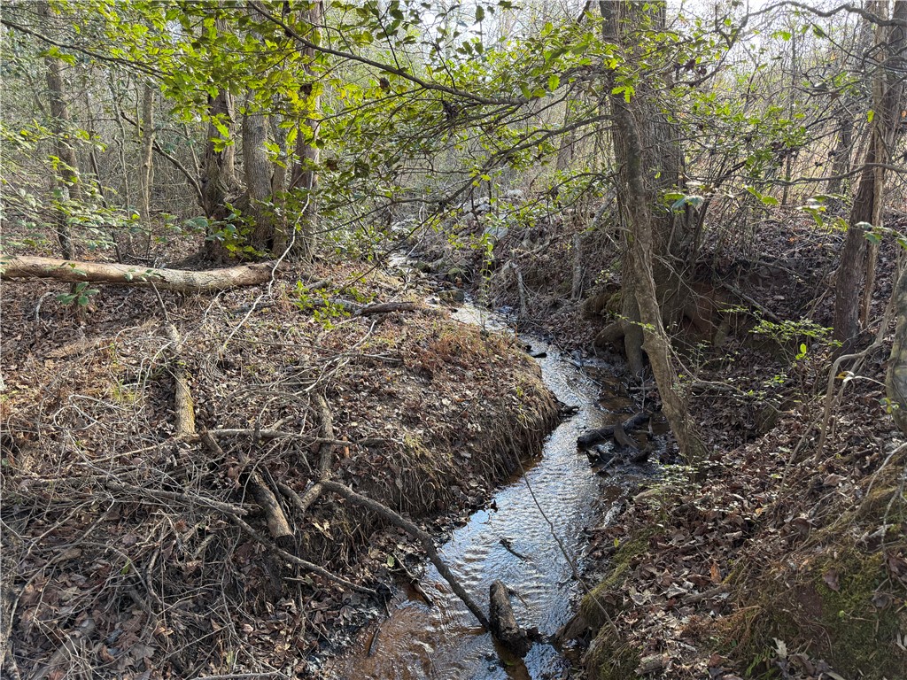4525 Babb Road Greer, SC 29651 - Photo 27 of 30 A tranquil stream meanders through a wooded landscape, offering a serene natural boundary.