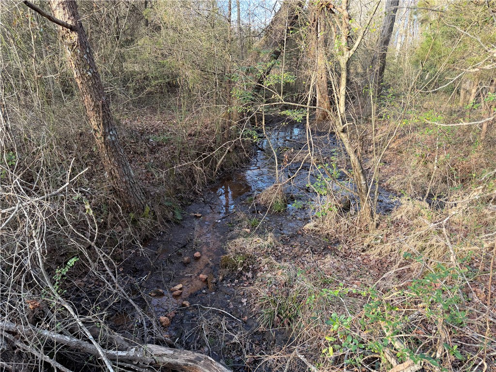 4525 Babb Road Greer, SC 29651 - Photo 28 of 30 A tranquil natural stream winds through a lush, verdant landscape, offering a peaceful outdoor retreat.