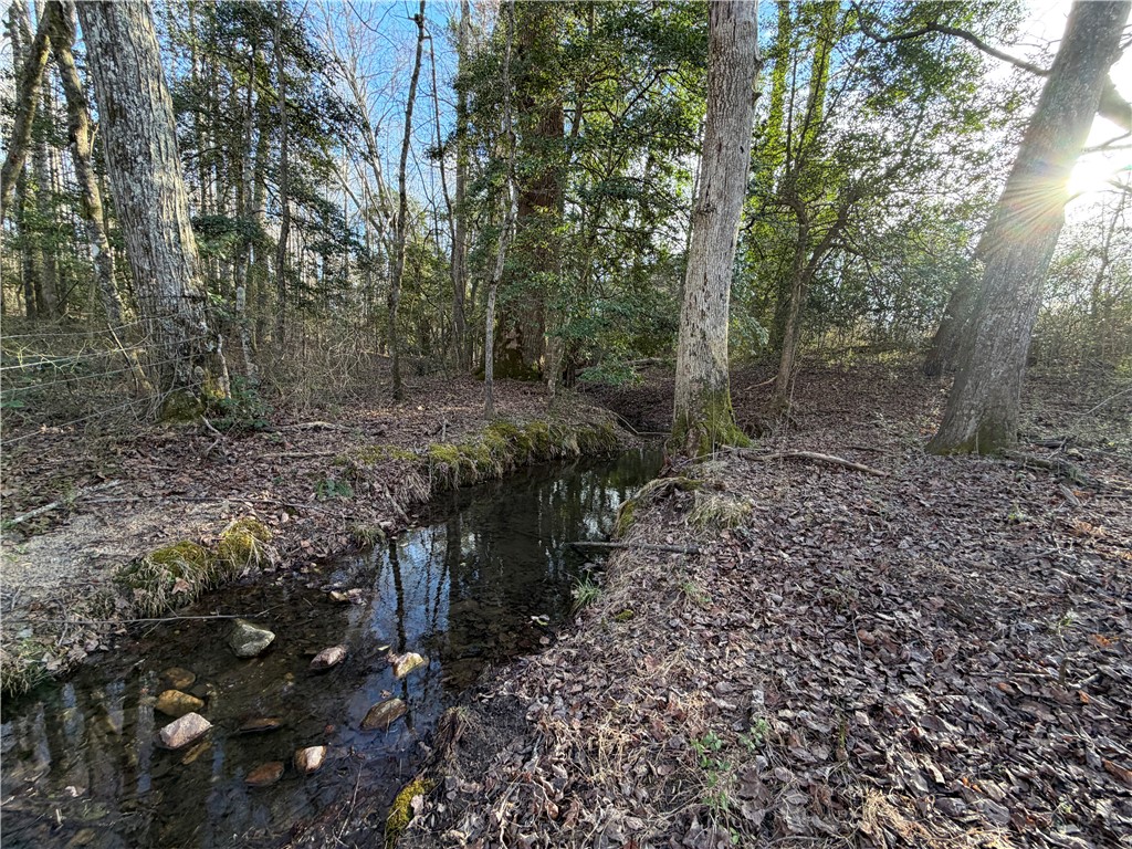 4525 Babb Road Greer, SC 29651 - Photo 29 of 30 A tranquil stream meanders through a wooded landscape, offering a serene natural setting.