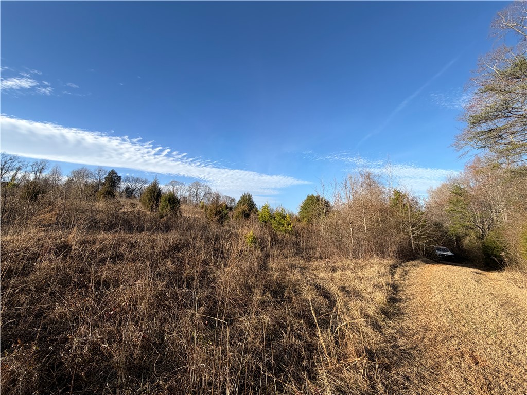 4525 Babb Road Greer, SC 29651 - Photo 30 of 30 This expansive lot offers a serene landscape, perfect for your next venture.