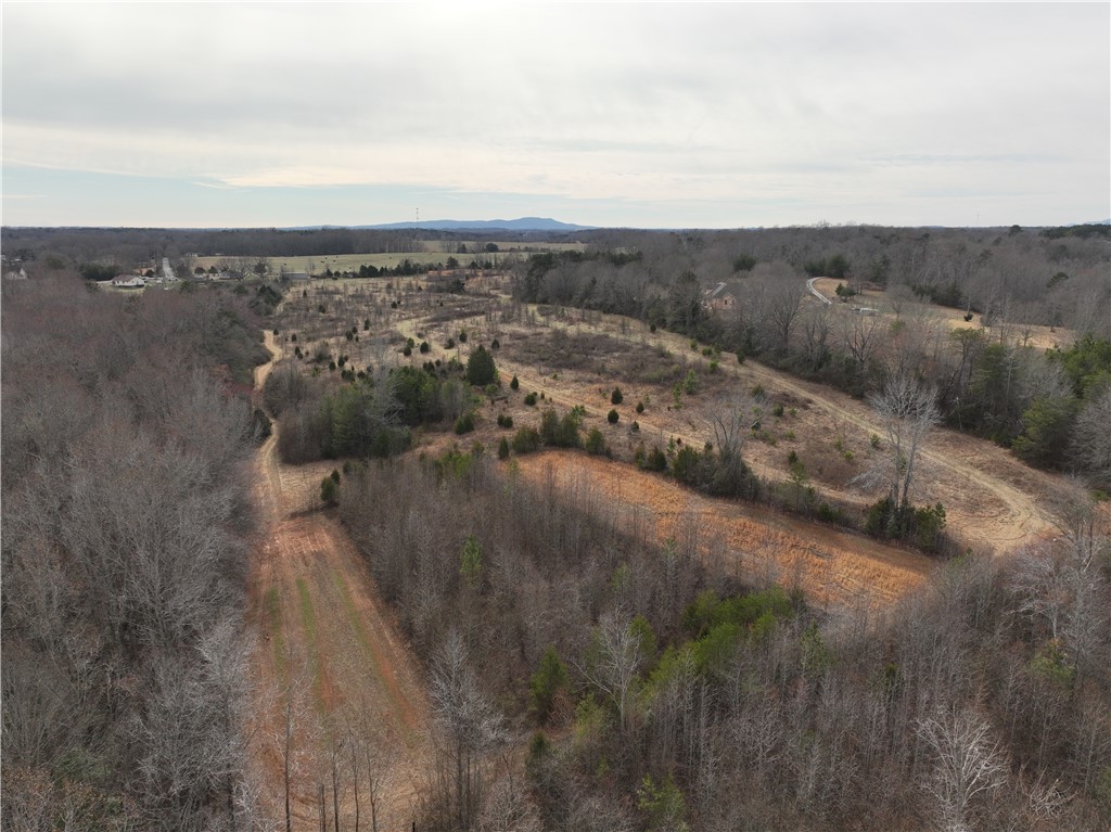 4525 Babb Road Greer, SC 29651 - Photo 3 of 30 Expansive landscape views offer a peaceful and private setting for your future estate.