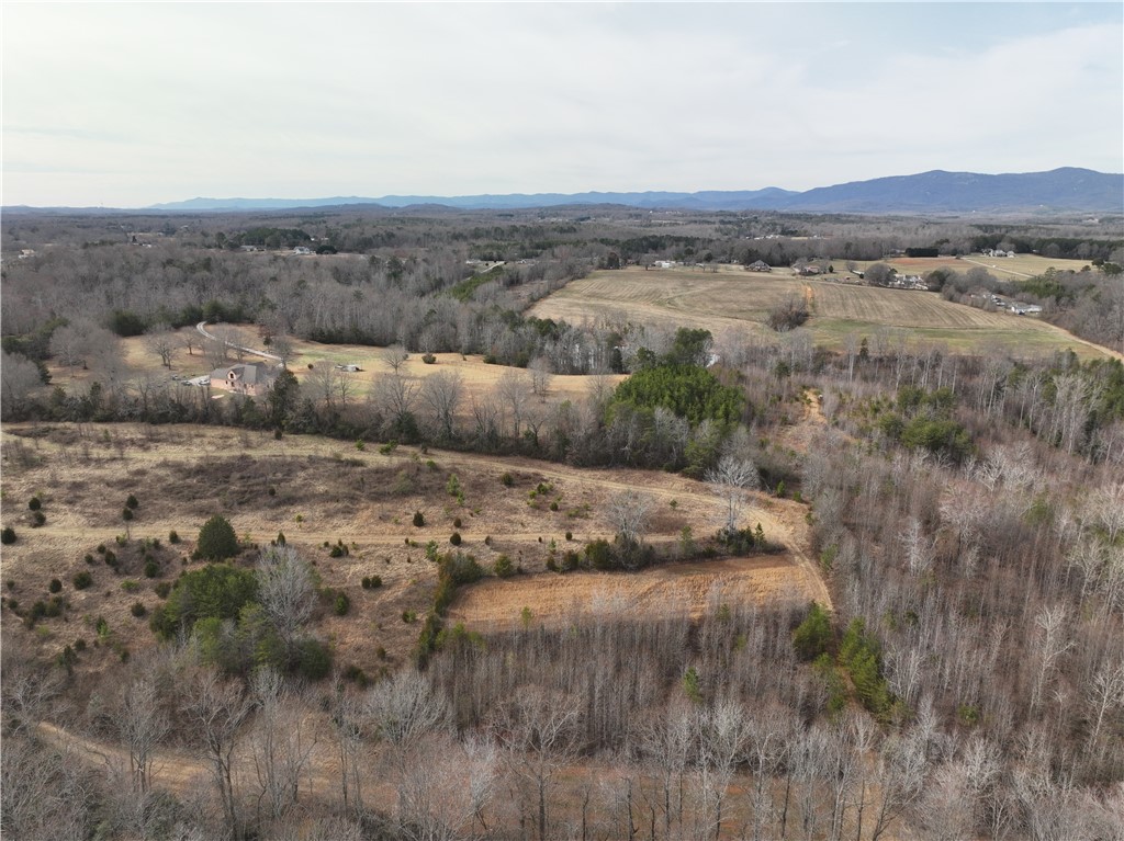 4525 Babb Road Greer, SC 29651 - Photo 4 of 30 Expansive acreage with panoramic mountain views and natural surroundings offers endless possibilities.