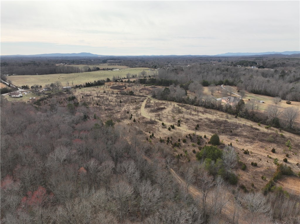 4525 Babb Road Greer, SC 29651 - Photo 5 of 30 Expansive acreage with panoramic views of woodlands and distant hills, perfect for a private estate.