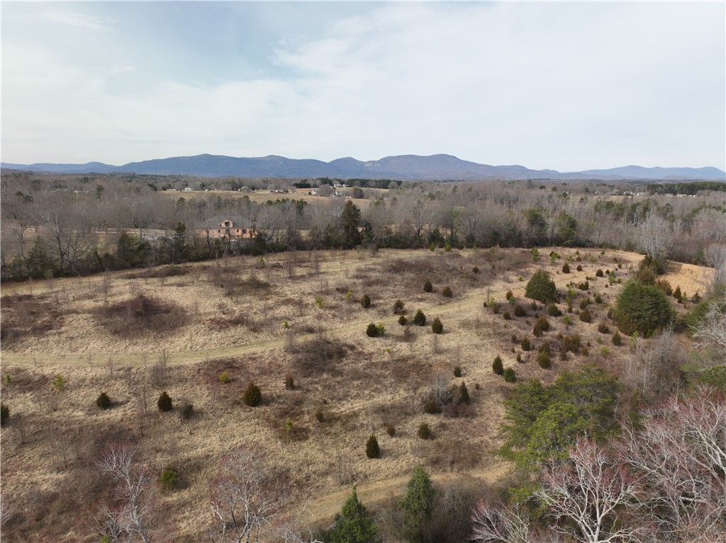 4525 Babb Road Greer, SC 29651 - Photo 6 of 30 Expansive acreage offering serene rural views and distant mountain vistas.