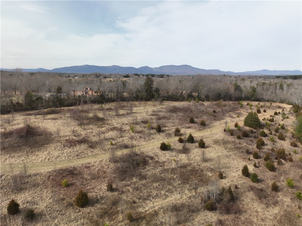 4525 Babb Road Greer, SC 29651 - Photo 7 of 30 Expansive natural landscape awaits your vision, framed by distant mountains and serene skies.