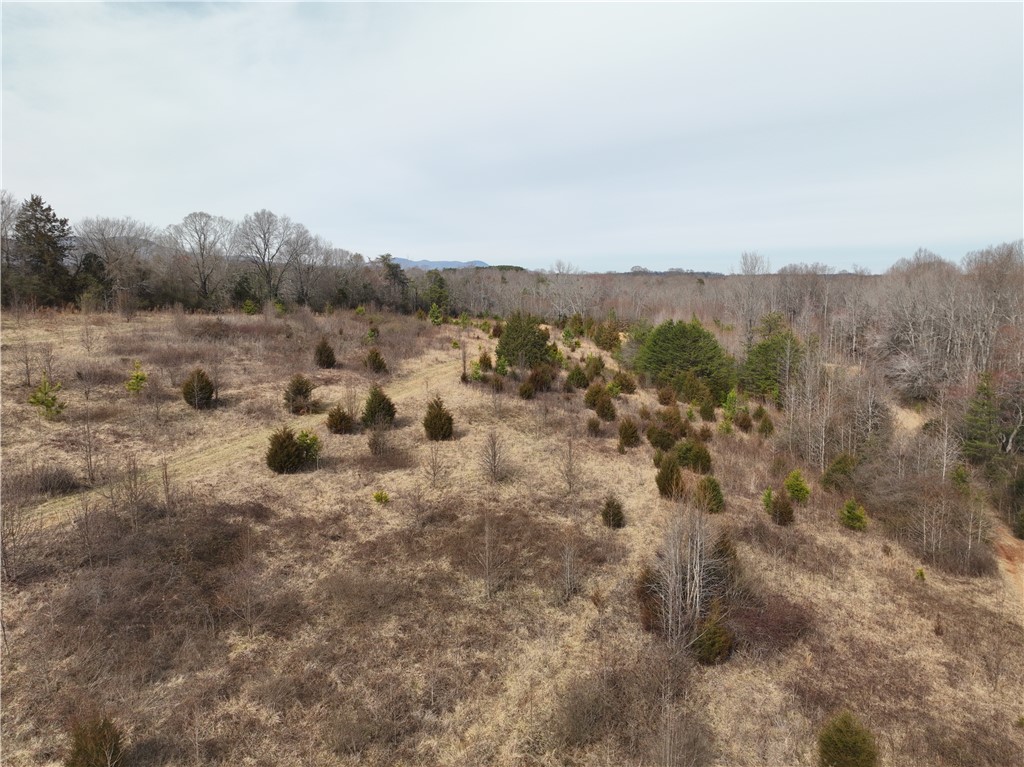 4525 Babb Road Greer, SC 29651 - Photo 9 of 30 This expansive, natural landscape offers endless possibilities for your vision.